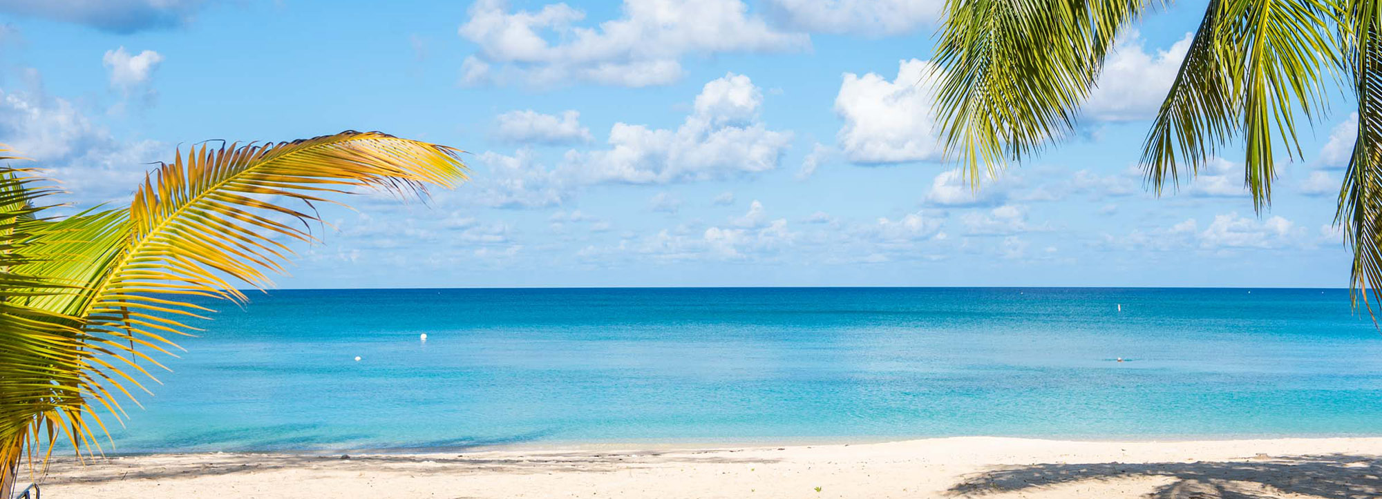 Grand Cayman Guidebook