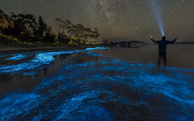 Bioluminescent Bay in Grand Cayman